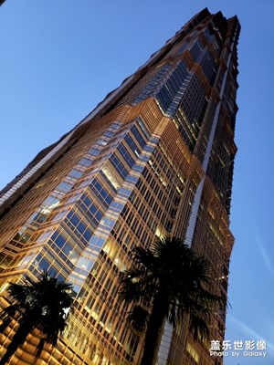浦東“三劍客”