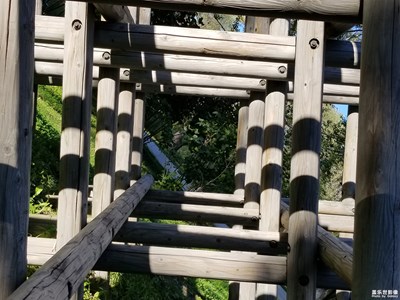 最美瞬間+光影交錯