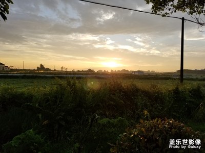 隨手拍的