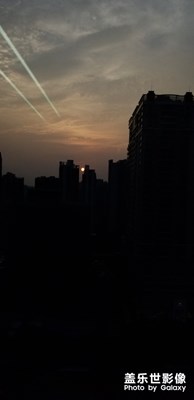 蛋黃，