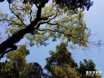 美麗天空