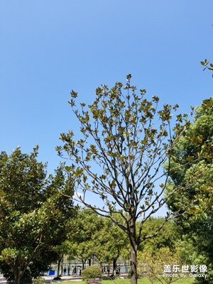天氣真好