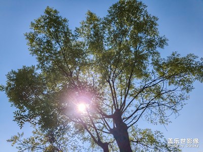 逆光也清晰，照亮你的美