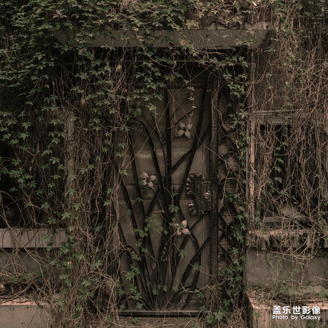 Galaxy Note9，為你捕捉每一個精彩瞬間