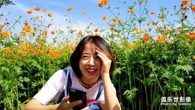 走近草原