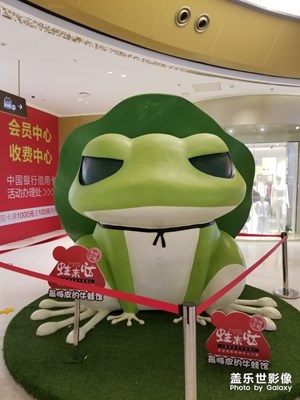 過(guò)氣蛙兒砸
