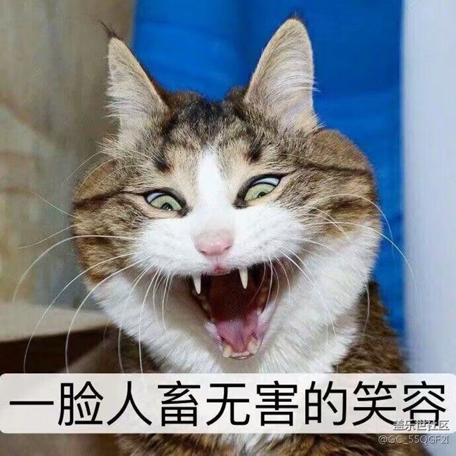 s8凝時拍照在哪呢？