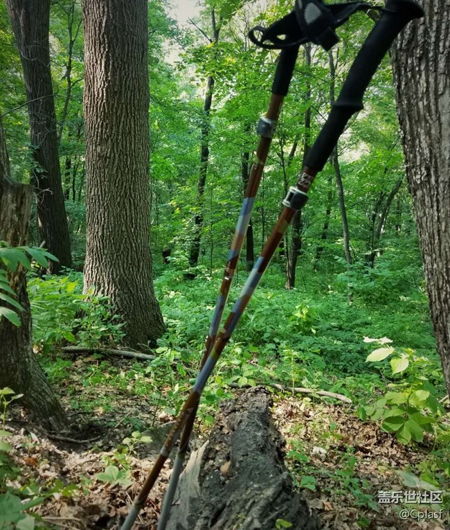 【活動招募】星粉招新暨國慶聚會  開啟徒步攀巖攝影新技能