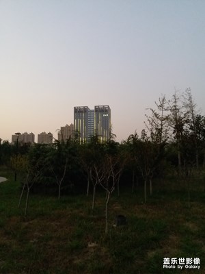 華燈初上