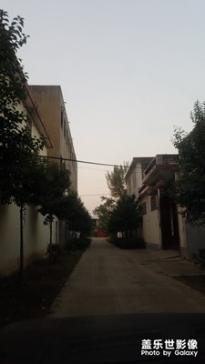 家鄉(xiāng)的路