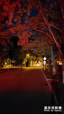 ??九夜拍無敵