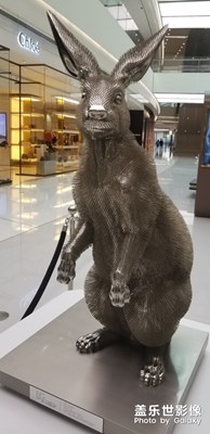 禁錮的自由