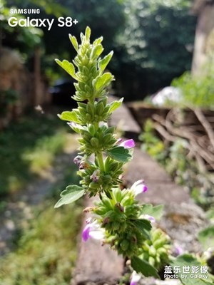 假期從沒余額，隨手就拍