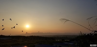 夕陽西下群鳥飛