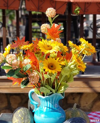 N9下的奧倫達(dá)部落2