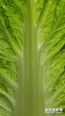 【相機里的國慶】+五彩斑斕的國慶