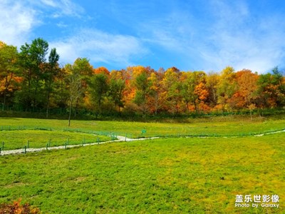 故鄉(xiāng)的原風(fēng)景