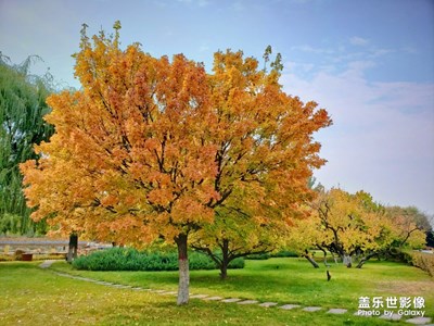 東河點畫