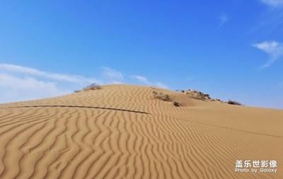 沙漠風情