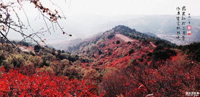 編輯一組懷 舊的照片，重陽(yáng)節(jié)送給天下所有的老人