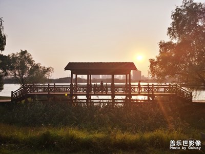 月湖公園