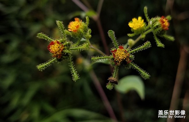 【每周精帖匯119】秋意正濃 是時(shí)候表演真正的技術(shù)了