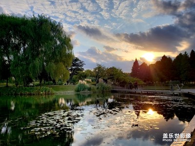秋游辰山，靜安公園
