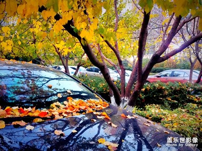 【秋至】+路邊隨拍