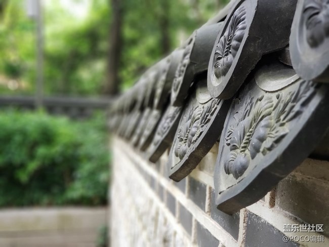 Galaxy Note9：回歸自然，拍出精彩