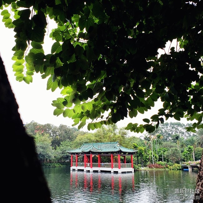 Galaxy Note9：回歸自然，拍出精彩