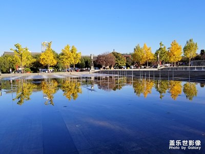 秋色下的大雁塔