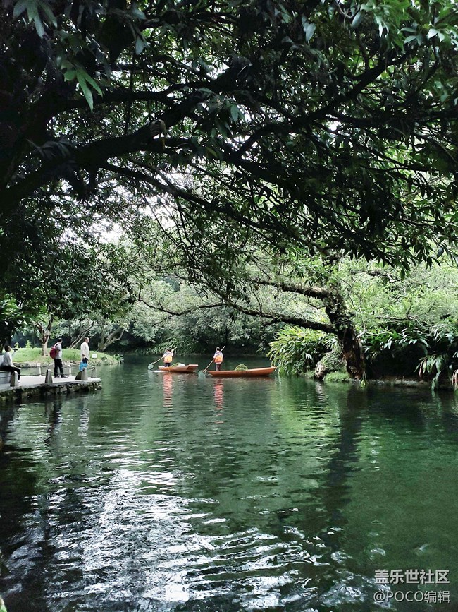 Galaxy Note9：回歸自然，拍出精彩