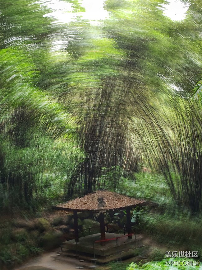 Galaxy Note9：回歸自然，拍出精彩