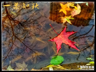 七彩斑斕的時(shí)候