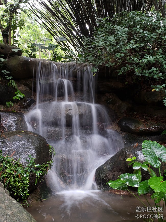 Galaxy Note9：回歸自然，拍出精彩