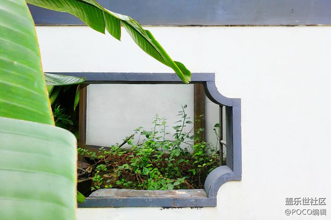 Galaxy Note9：回歸自然，拍出精彩