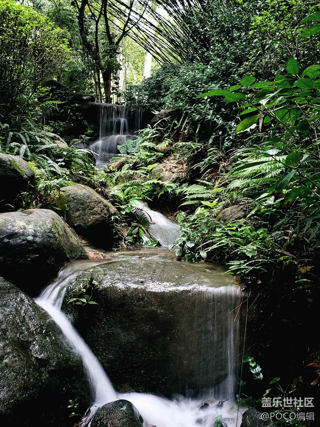 Galaxy Note9：回歸自然，拍出精彩