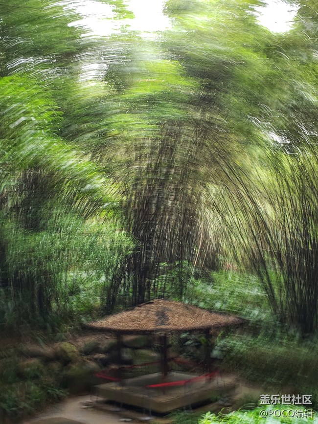 Galaxy Note9：回歸自然，拍出精彩