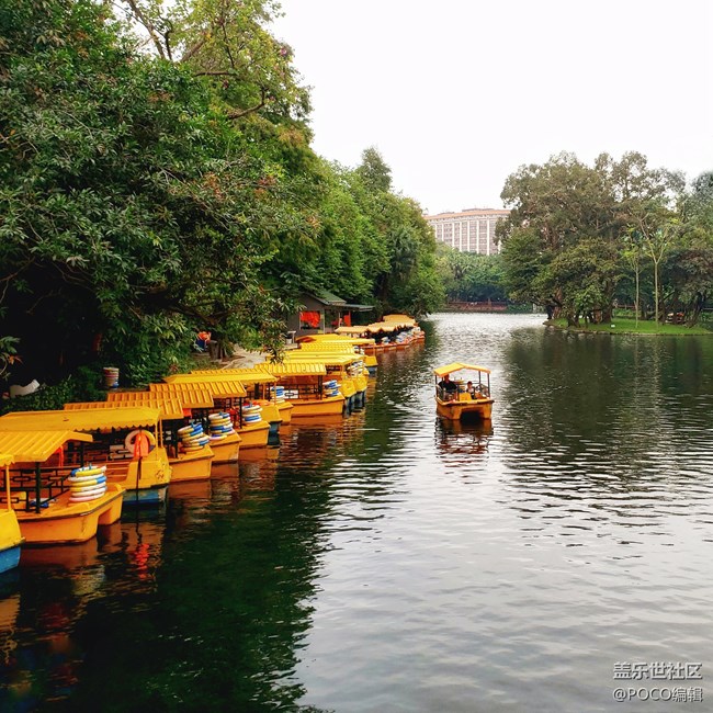 Galaxy Note9：回歸自然，拍出精彩