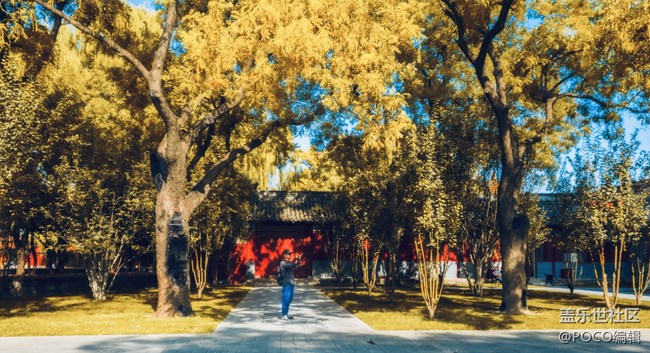 5大技巧，讓手機(jī)攝影更簡(jiǎn)單——Galaxy Note9色彩之旅