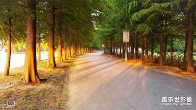 【午后暖陽(yáng)】