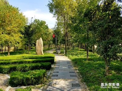 校園小路
