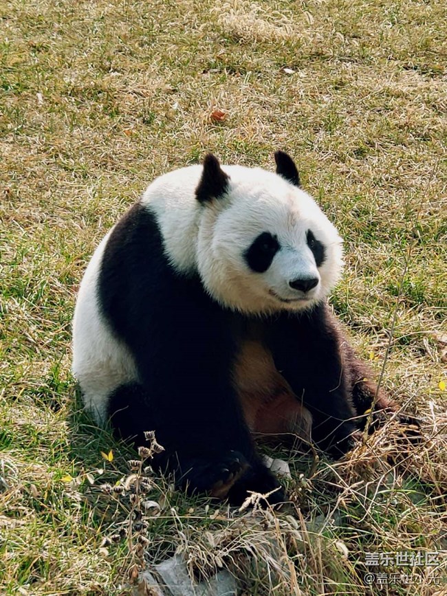秋游之沈陽森林動(dòng)物園——三星在手，天下我有