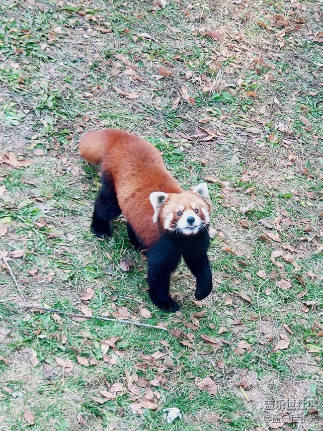 秋游之沈陽森林動(dòng)物園——三星在手，天下我有