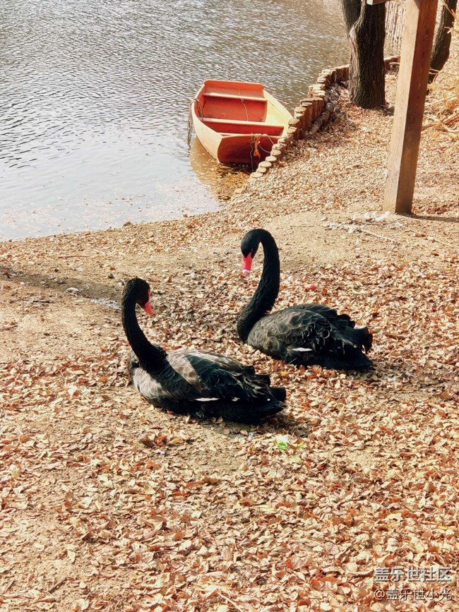 秋游之沈陽森林動(dòng)物園——三星在手，天下我有