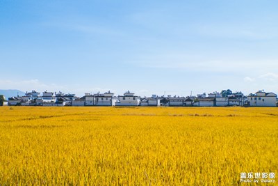 【為中國添色】金玉深秋（專業(yè)組）