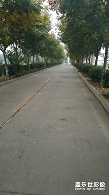 【我的日常生活】+走在鄉(xiāng)間的小路上