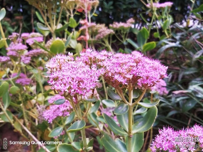 三星Galaxy A9s四個(gè)攝像頭都能做什么呢？