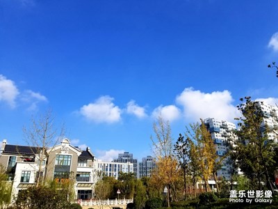 【我的日常生活】+街頭隨拍