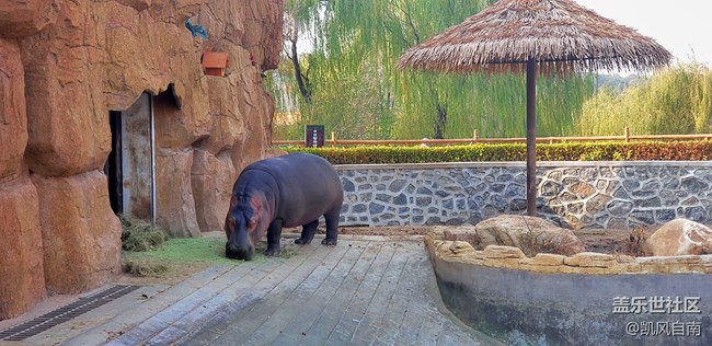 一篇有內(nèi)容的動物園回顧貼